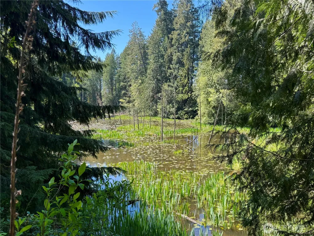 75 E Lakewood Drive Belfair, WA 98528