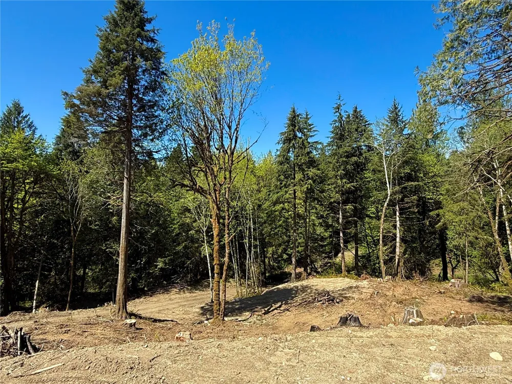 75 E Lakewood Drive Belfair, WA 98528