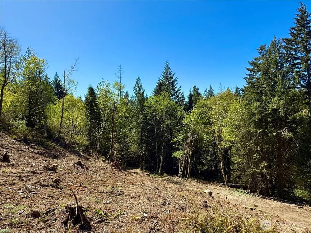 75 E Lakewood Drive Belfair, WA 98528