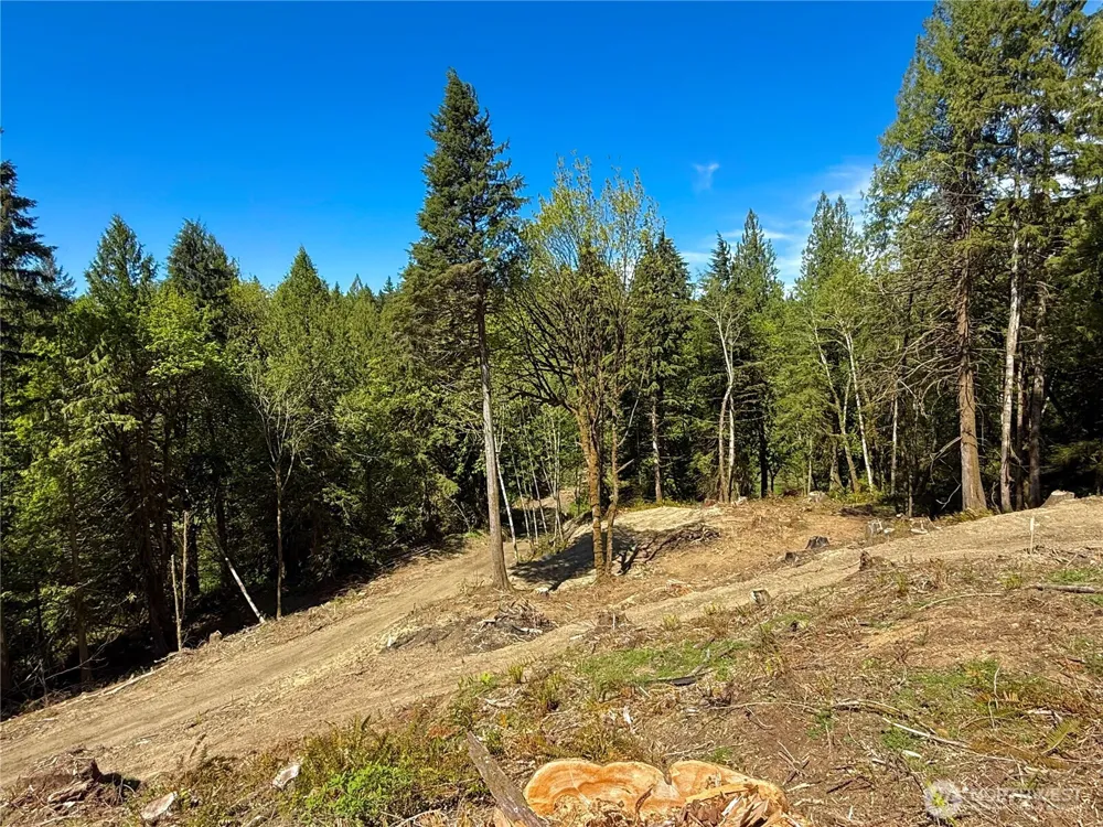 75 E Lakewood Drive Belfair, WA 98528