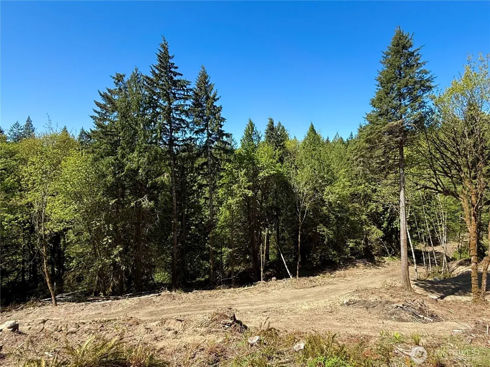 75 E Lakewood Drive Belfair, WA 98528
