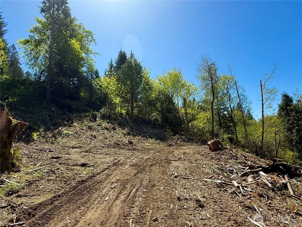 75 E Lakewood Drive Belfair, WA 98528