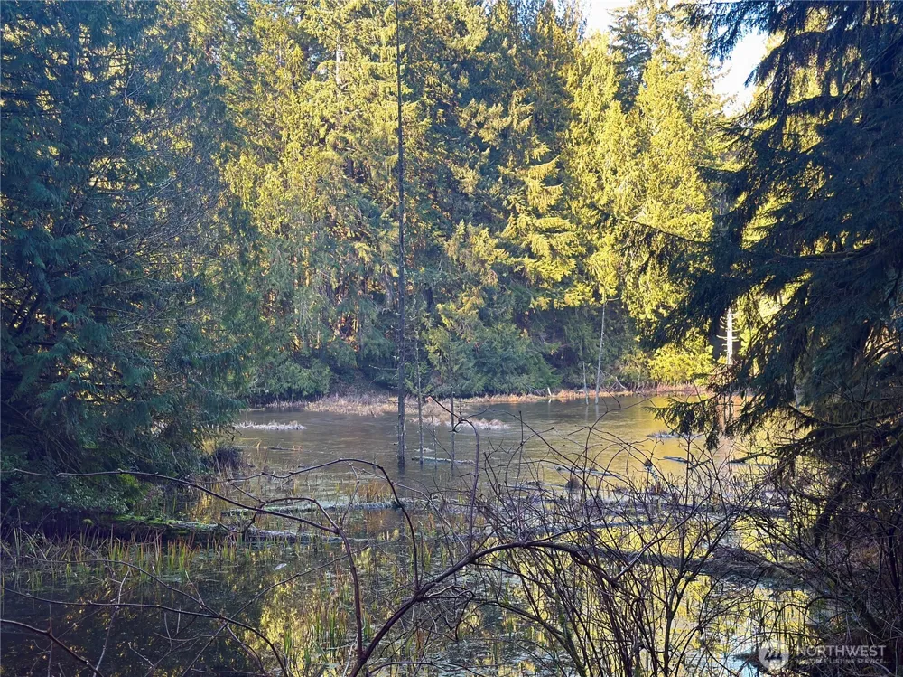 75 E Lakewood Drive Belfair, WA 98528