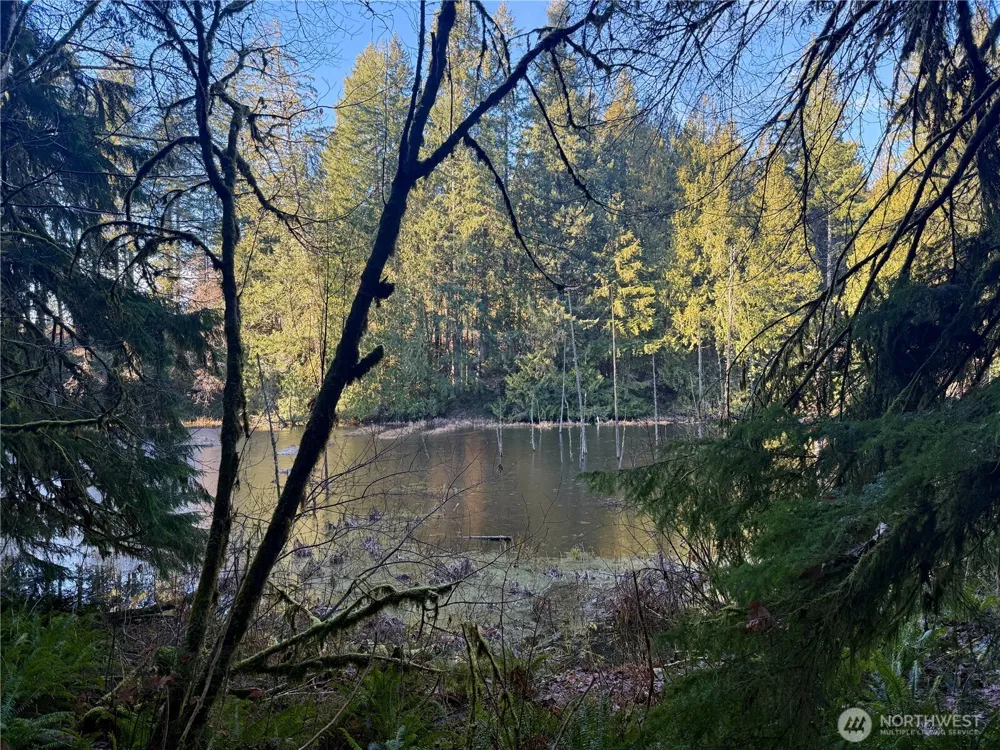 75 E Lakewood Drive Belfair, WA 98528