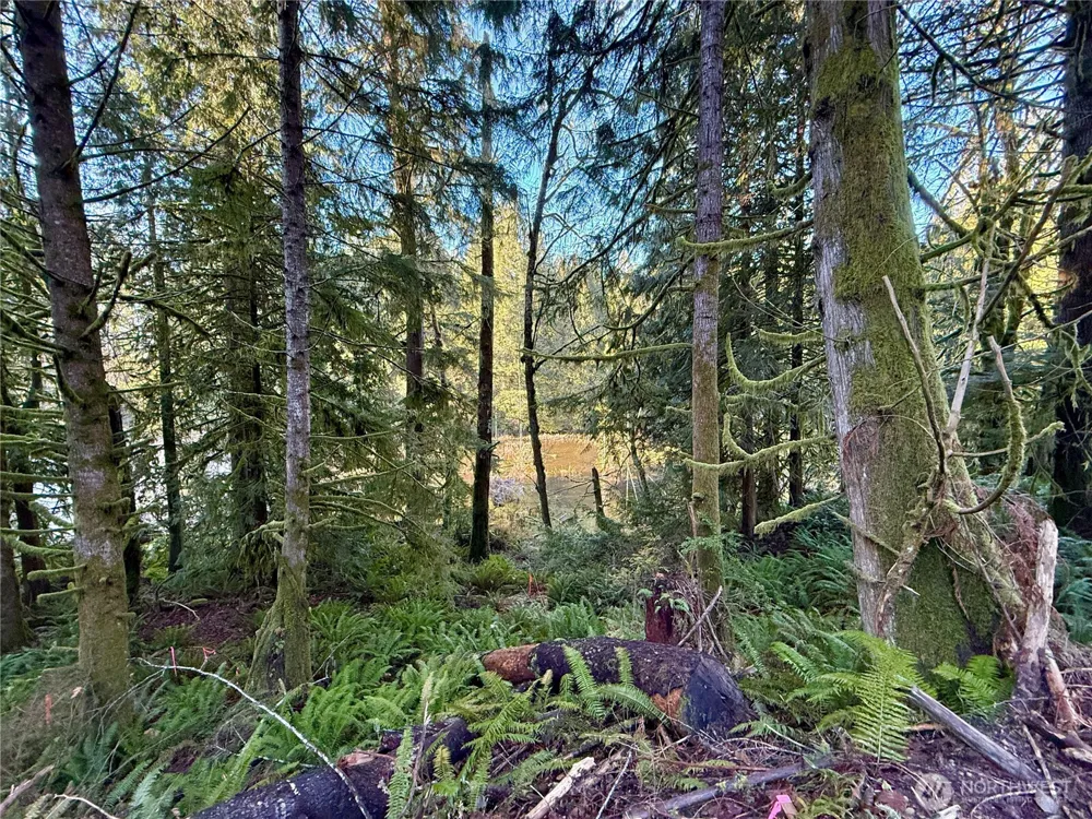 75 E Lakewood Drive Belfair, WA 98528