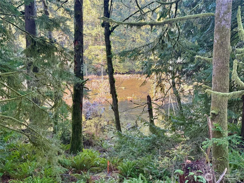 75 E Lakewood Drive Belfair, WA 98528