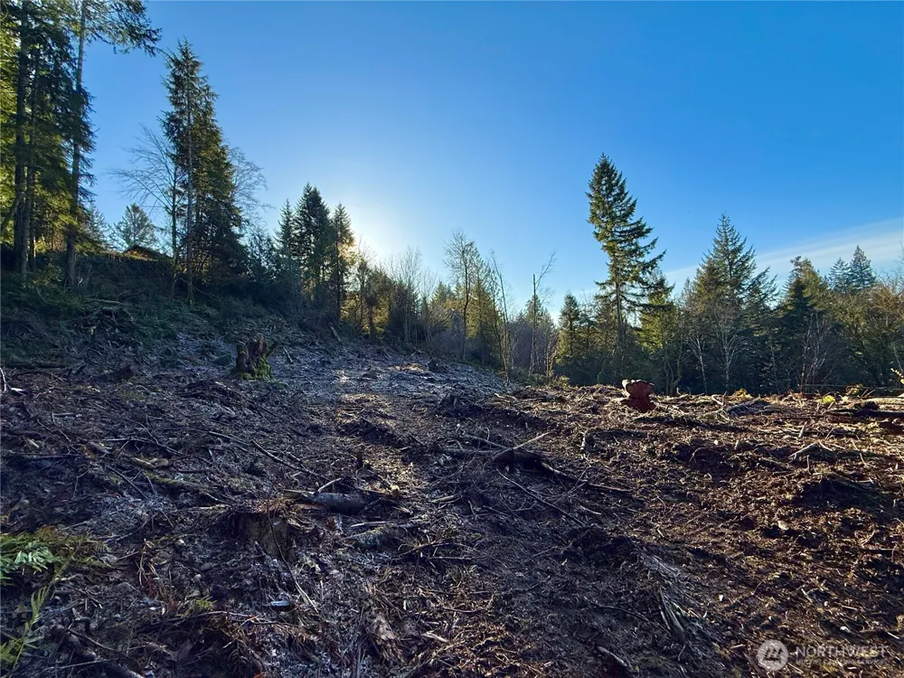 75 E Lakewood Drive Belfair, WA 98528