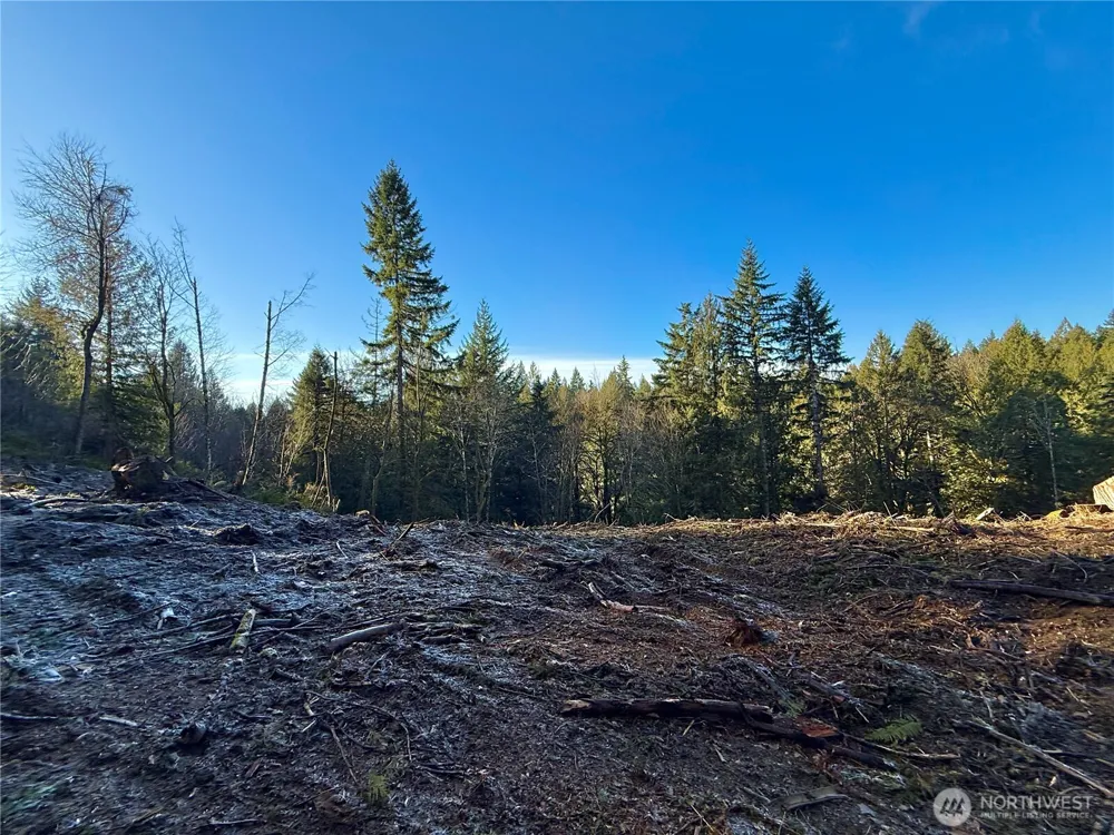 75 E Lakewood Drive Belfair, WA 98528