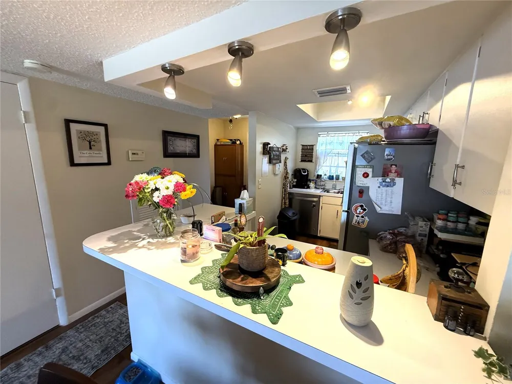 410 E ORLANDO AVENUE #19A Ocoee, FL 34761