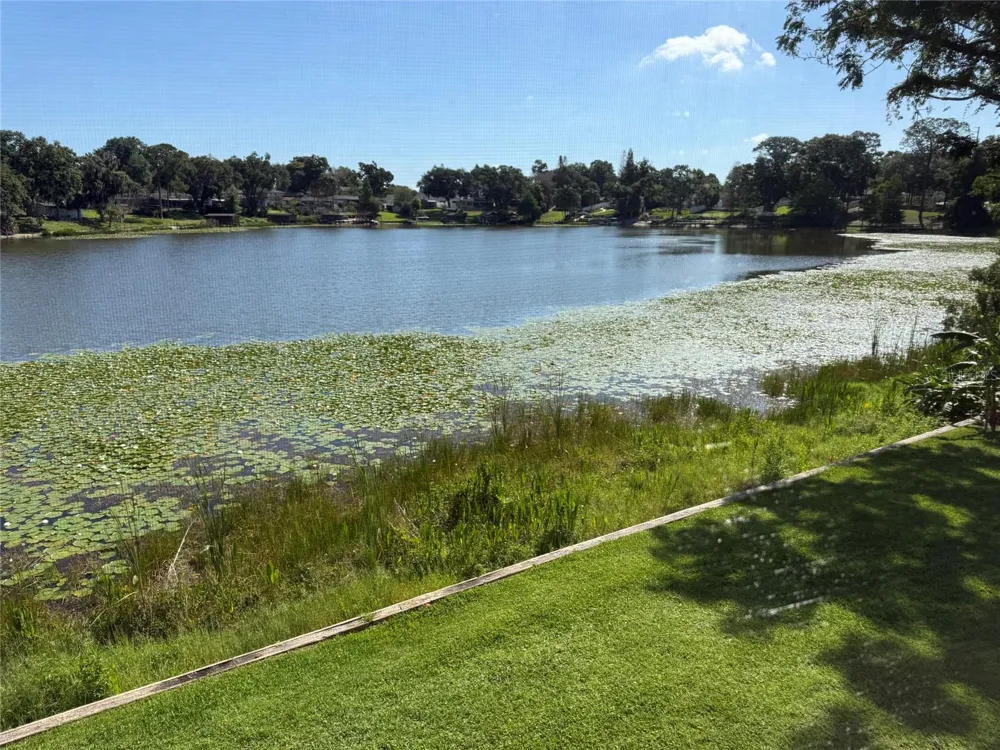 410 E ORLANDO AVENUE #19A Ocoee, FL 34761