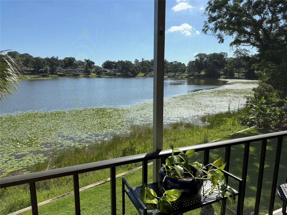 410 E ORLANDO AVENUE #19A Ocoee, FL 34761