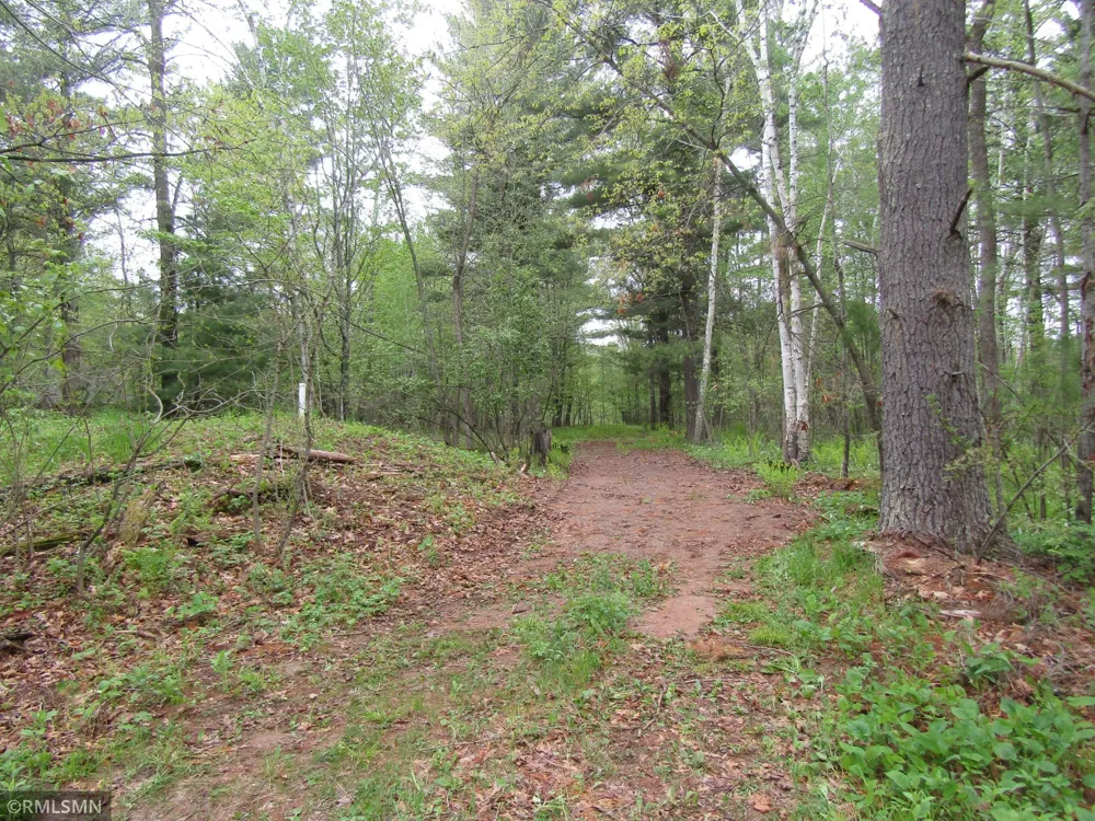 15442 Lofty Pines Road Pine City, MN 55063