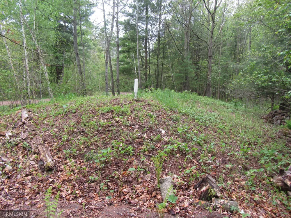 15442 Lofty Pines Road Pine City, MN 55063