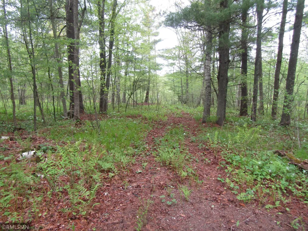 15442 Lofty Pines Road Pine City, MN 55063