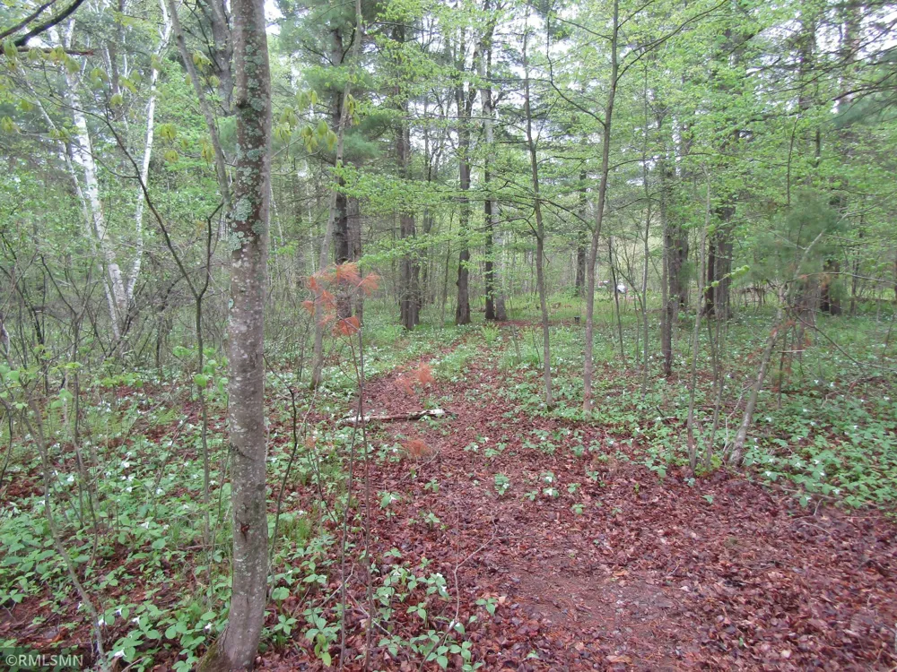 15442 Lofty Pines Road Pine City, MN 55063