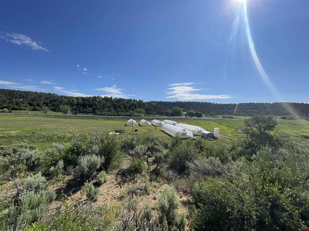 17 dana Drive Bayfield, CO 81122