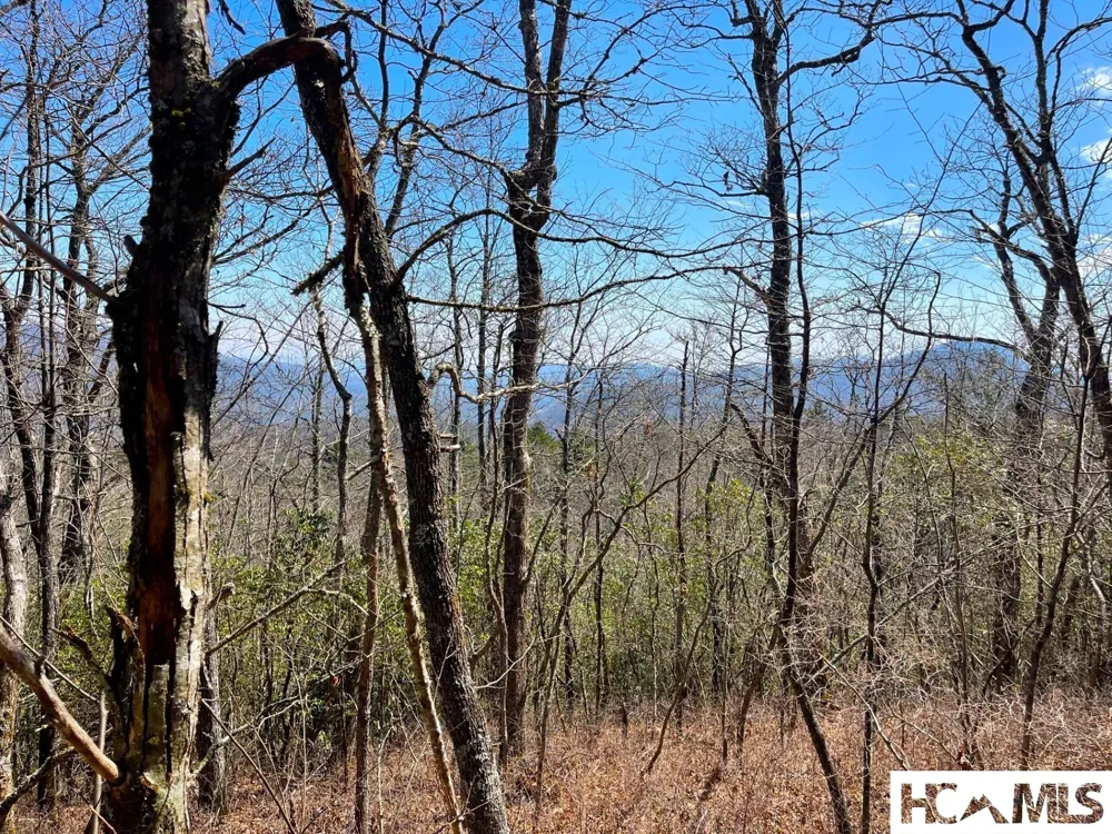 Lot 2 Treasurewood Road Glenville, NC 28736