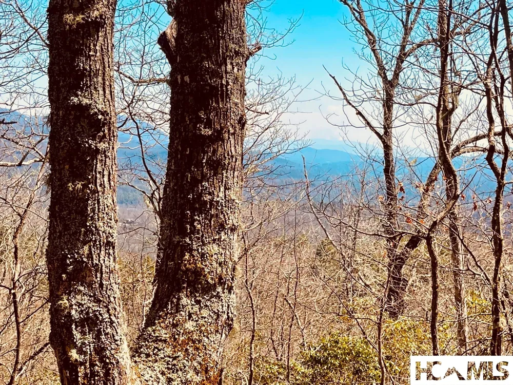 Lot 2 Treasurewood Road Glenville, NC 28736
