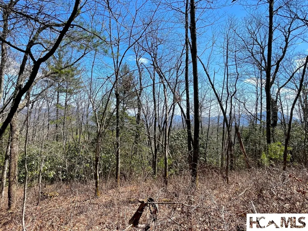Lot 2 Treasurewood Road Glenville, NC 28736