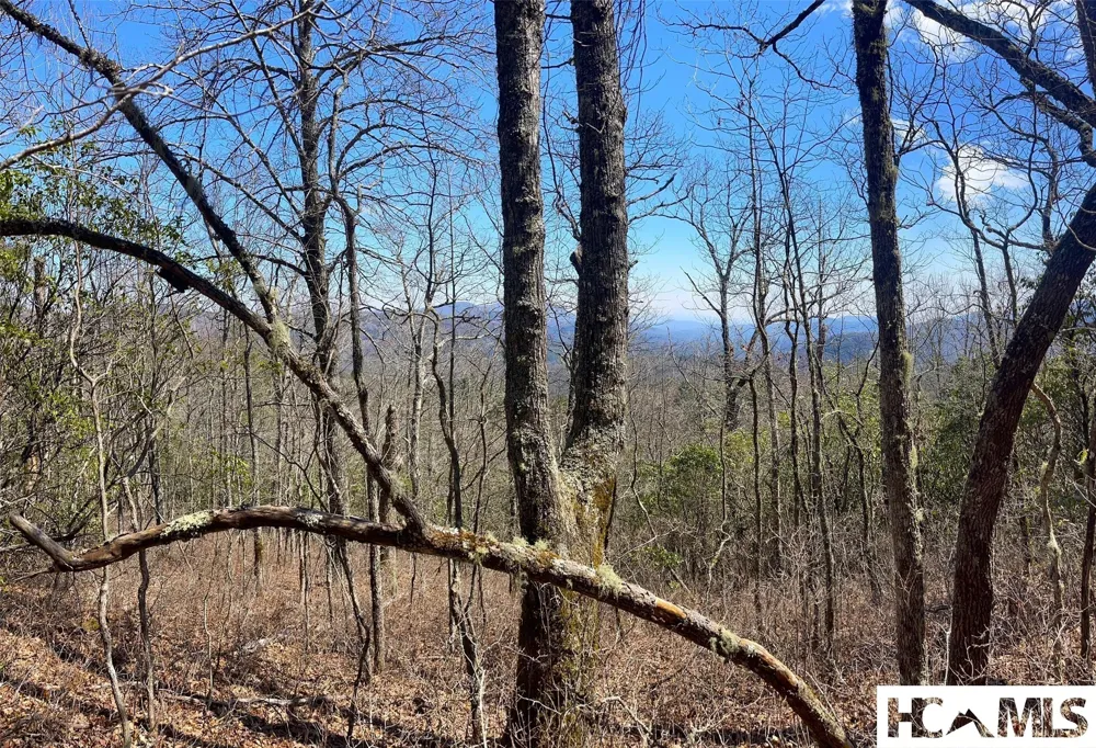 Lot 2 Treasurewood Road Glenville, NC 28736