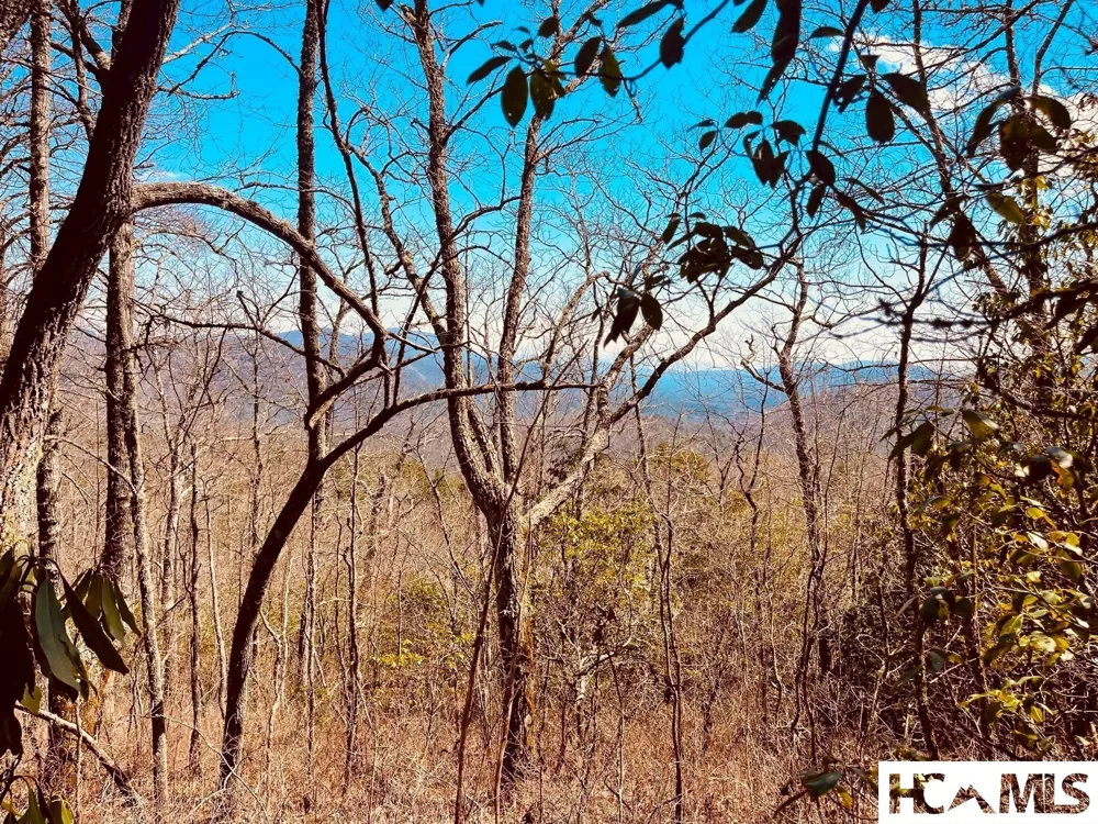 Lot 2 Treasurewood Road Glenville, NC 28736