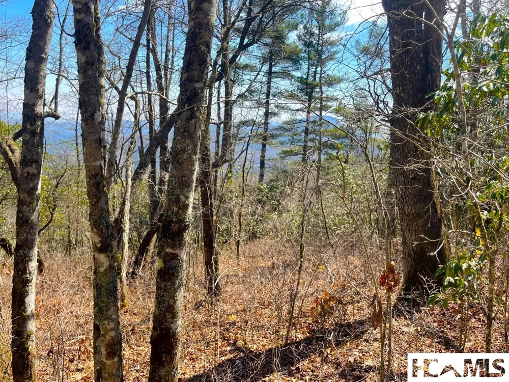 Lot 2 Treasurewood Road Glenville, NC 28736