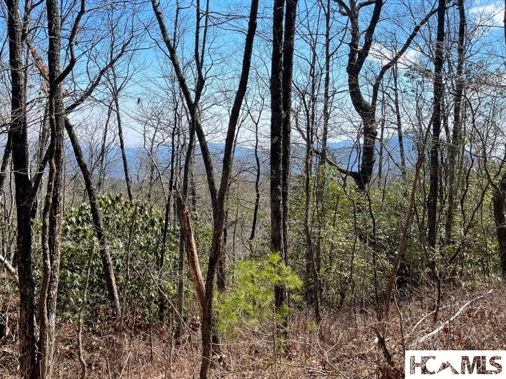 Lot 2 Treasurewood Road Glenville, NC 28736