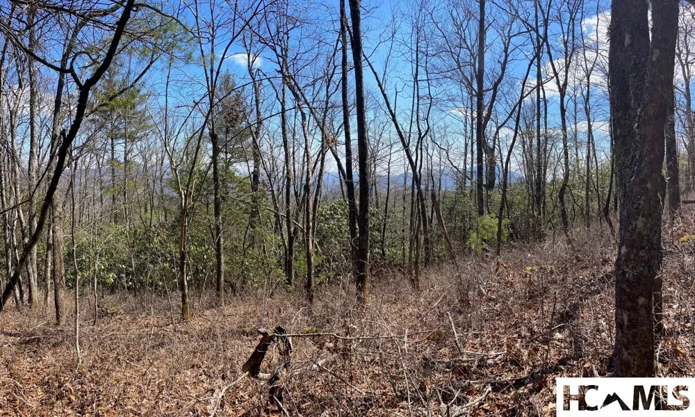 Lot 2 Treasurewood Road Glenville, NC 28736