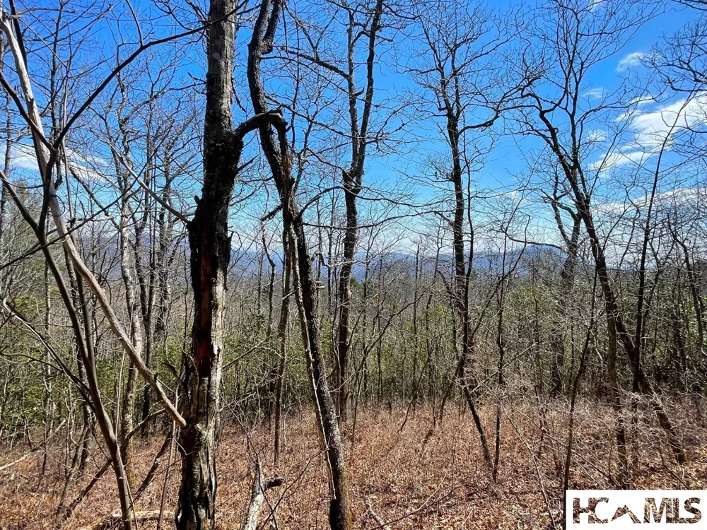 Lot 2 Treasurewood Road Glenville, NC 28736