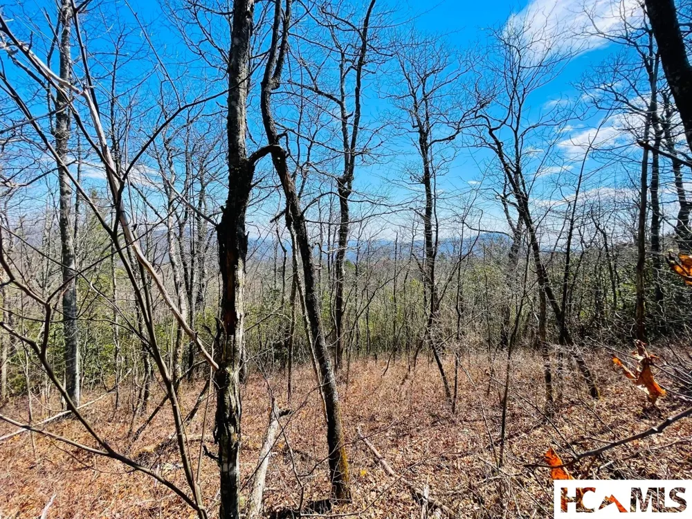 Lot 2 Treasurewood Road Glenville, NC 28736