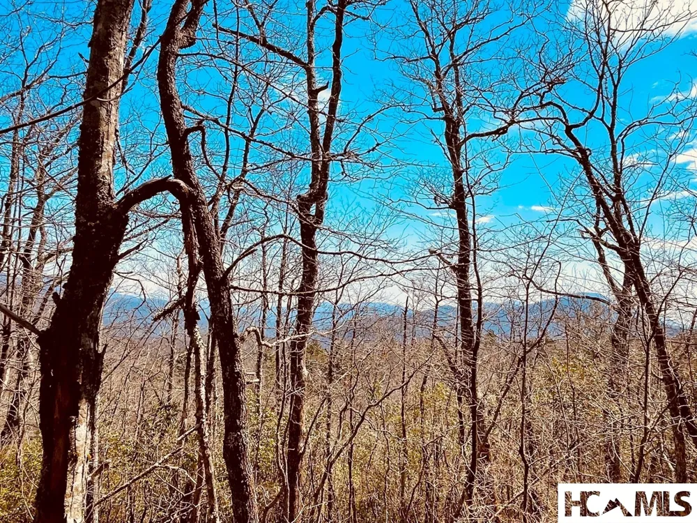 Lot 2 Treasurewood Road Glenville, NC 28736