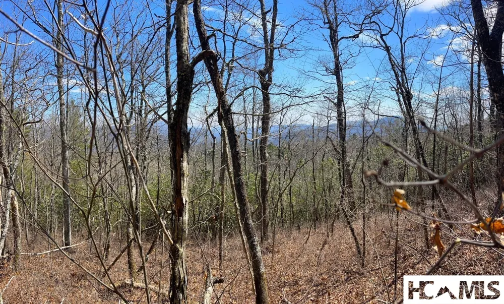 Lot 2 Treasurewood Road Glenville, NC 28736
