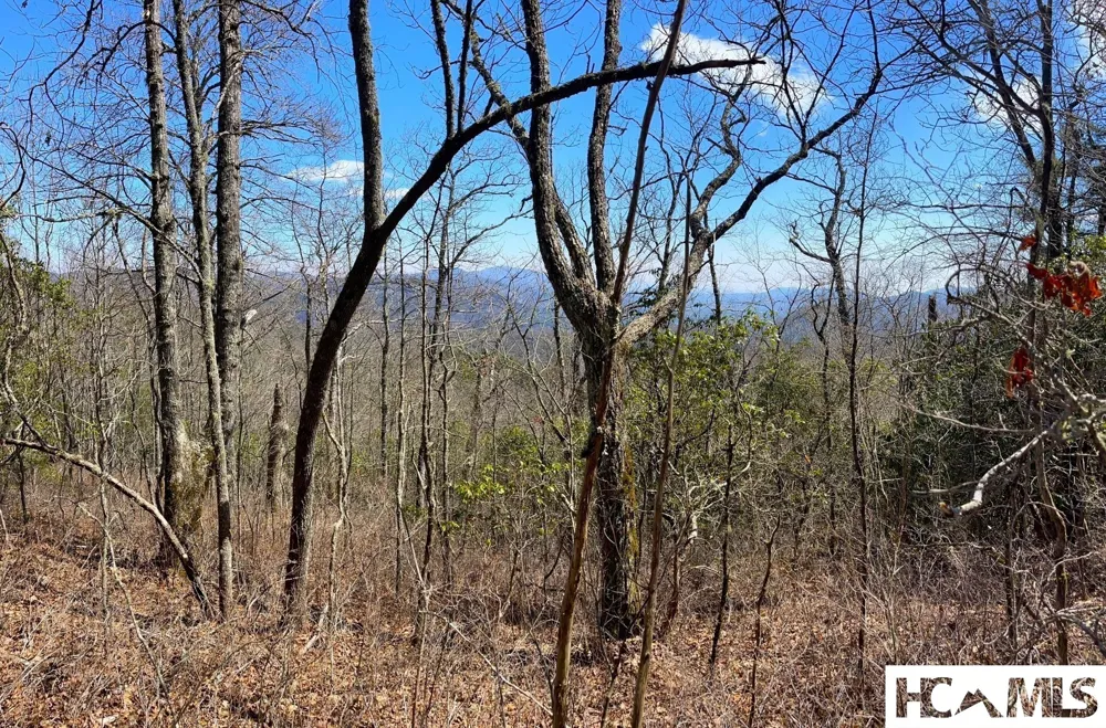 Lot 2 Treasurewood Road Glenville, NC 28736