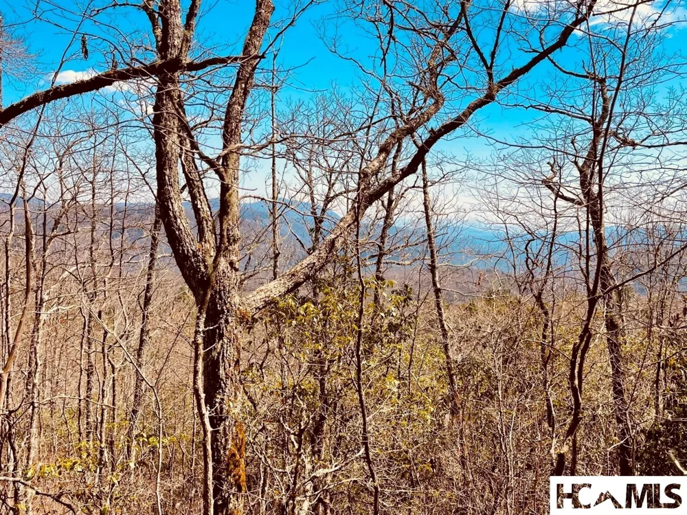 Lot 2 Treasurewood Road Glenville, NC 28736