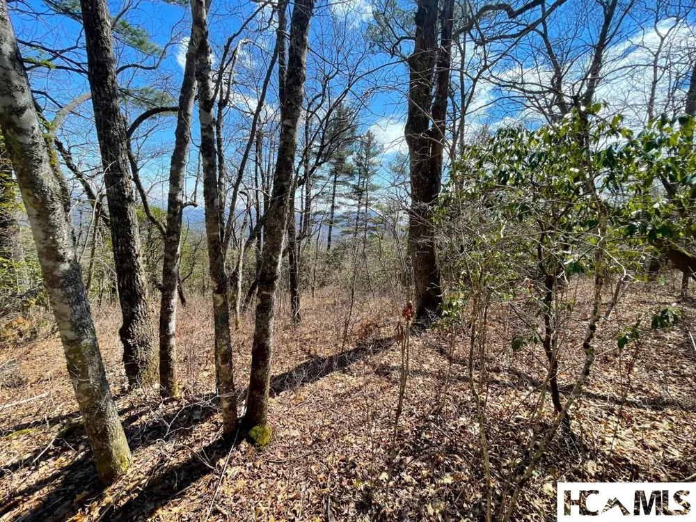 Lot 2 Treasurewood Road Glenville, NC 28736