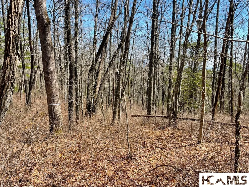 Lot 2 Treasurewood Road Glenville, NC 28736
