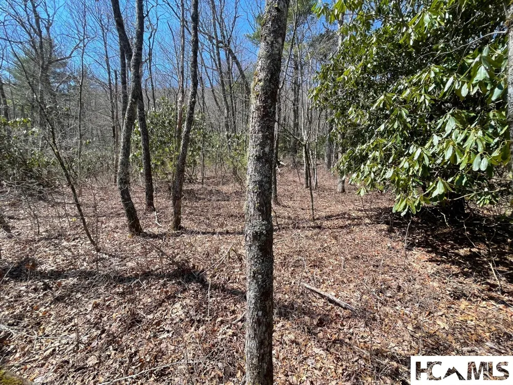 Lot 2 Treasurewood Road Glenville, NC 28736