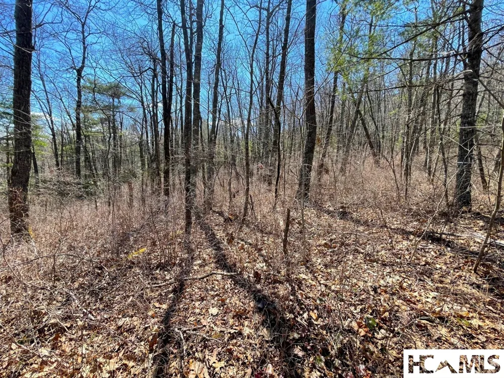 Lot 2 Treasurewood Road Glenville, NC 28736