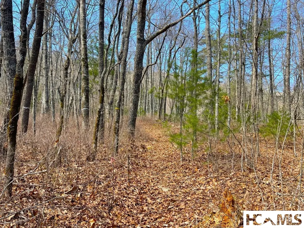 Lot 2 Treasurewood Road Glenville, NC 28736