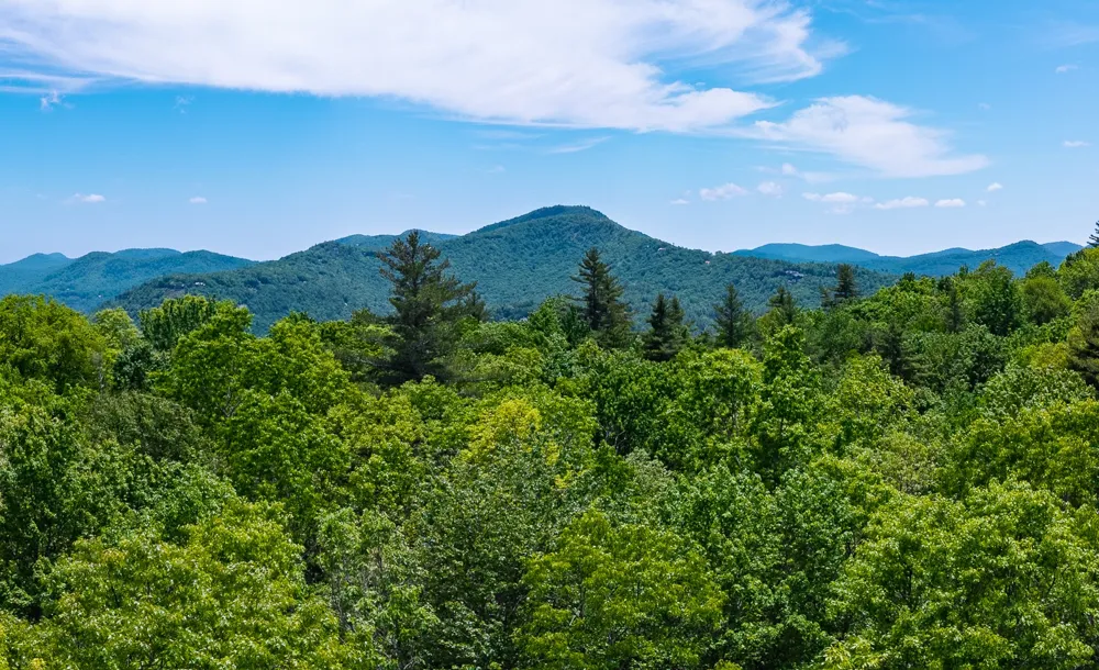 Lot 2 Treasurewood Road Glenville, NC 28736