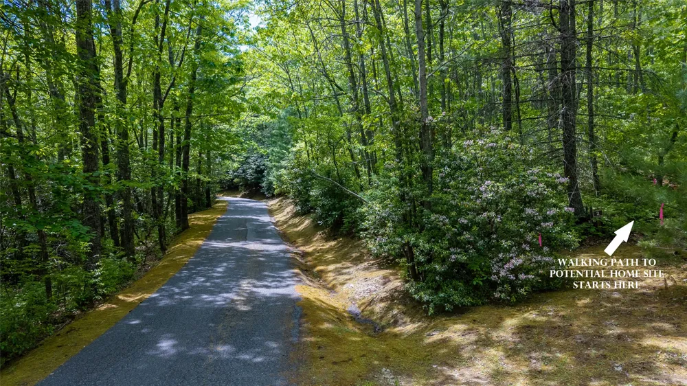 Lot 2 Treasurewood Road Glenville, NC 28736