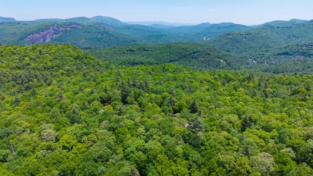 Lot 2 Treasurewood Road Glenville, NC 28736