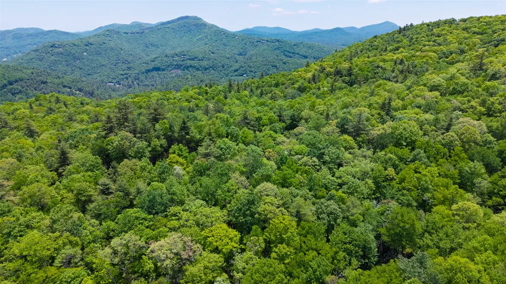 Lot 2 Treasurewood Road Glenville, NC 28736