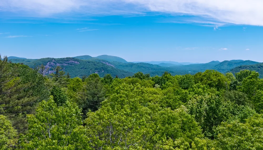 Lot 2 Treasurewood Road Glenville, NC 28736