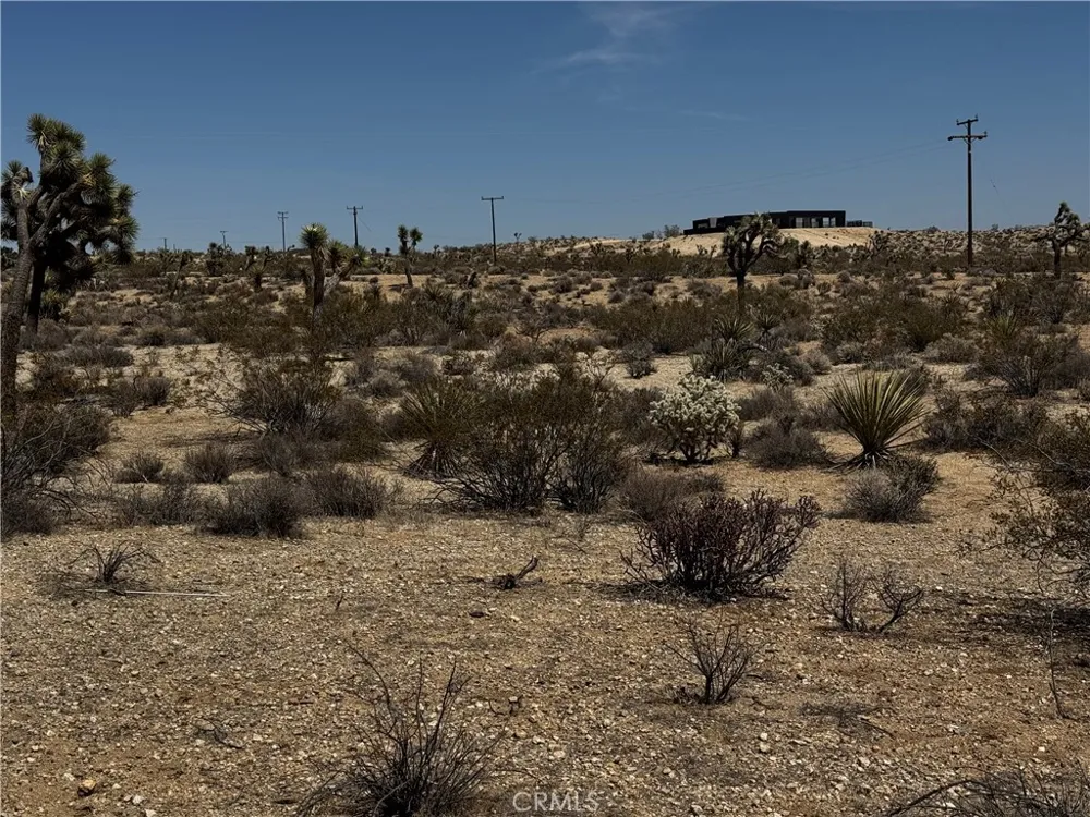 Anita Avenue Yucca Valley, CA 92284