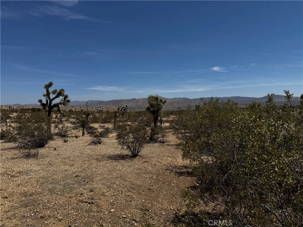 Anita Avenue Yucca Valley, CA 92284