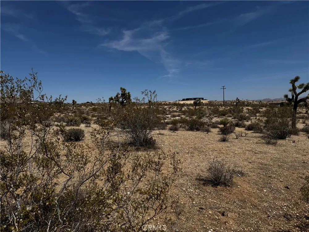 Anita Avenue Yucca Valley, CA 92284