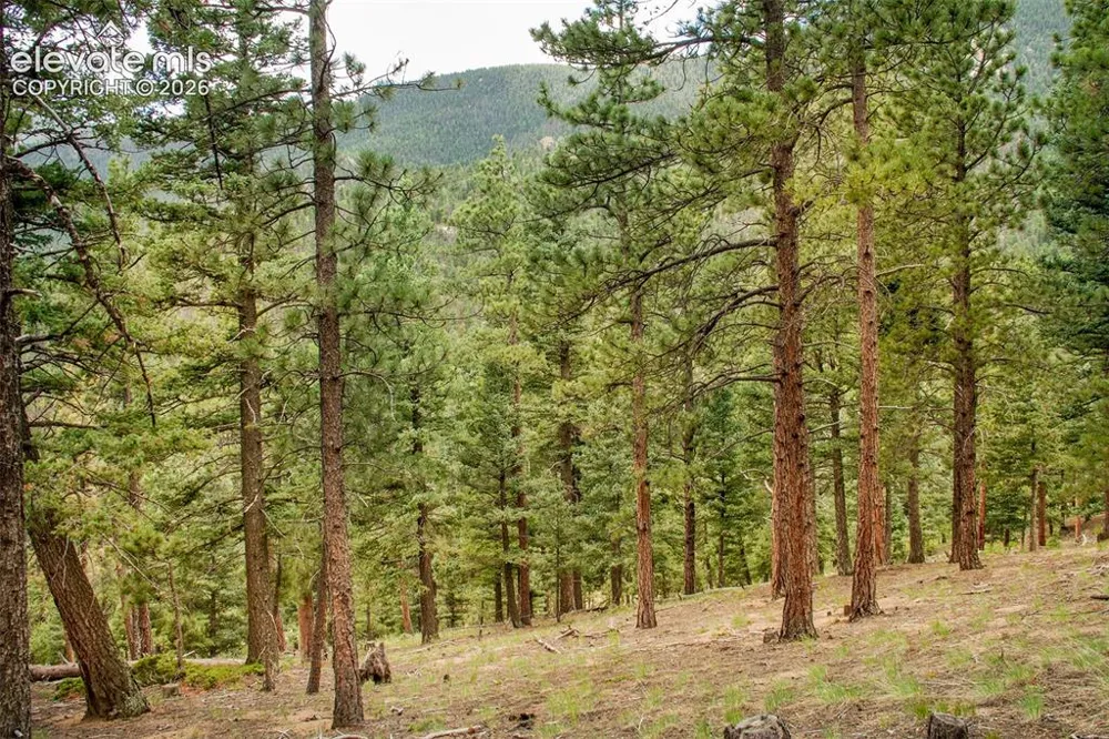 266 Aspen Ridge Road Manitou Springs, CO 80829