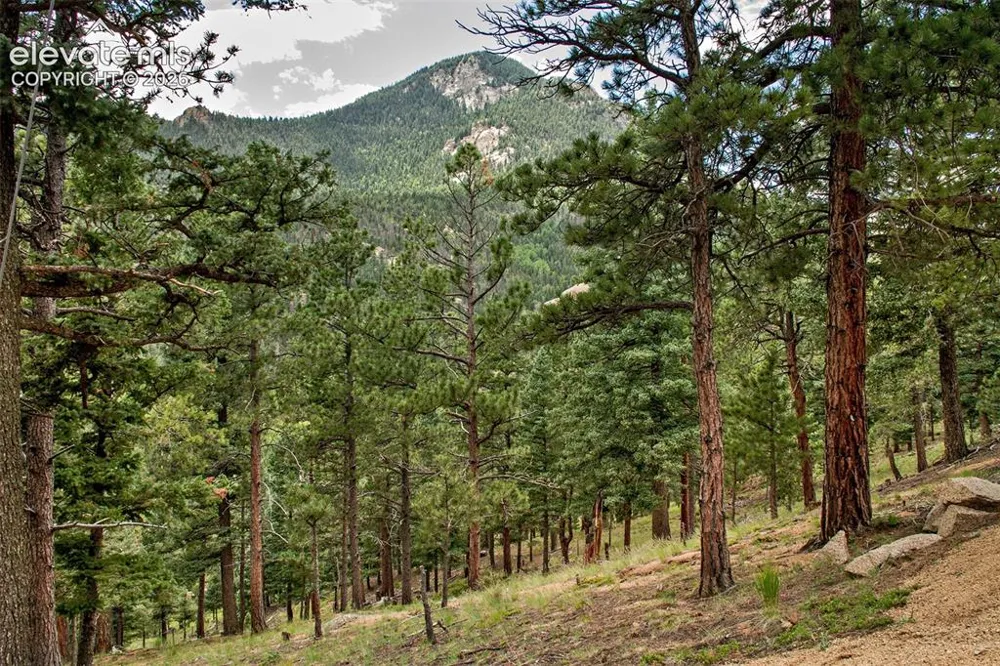 266 Aspen Ridge Road Manitou Springs, CO 80829