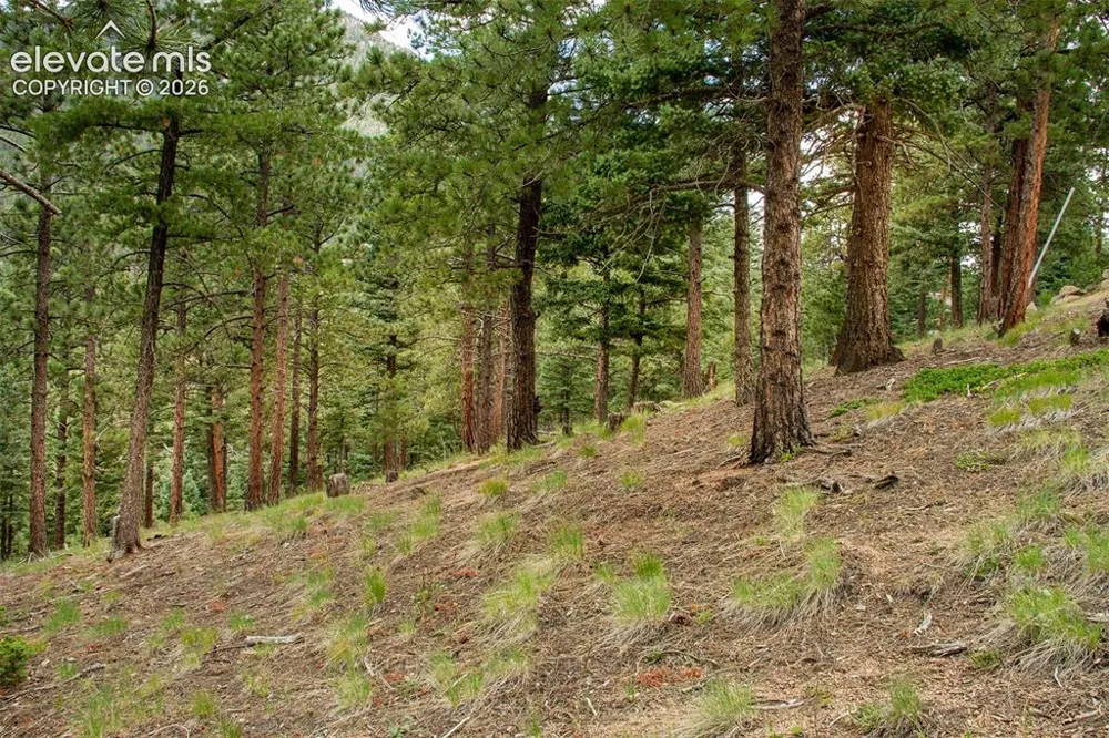 266 Aspen Ridge Road Manitou Springs, CO 80829